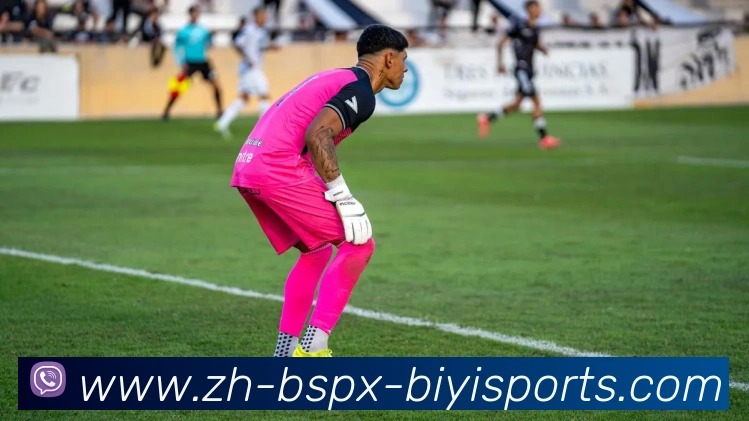 B体育APP 体育赛事宣传图